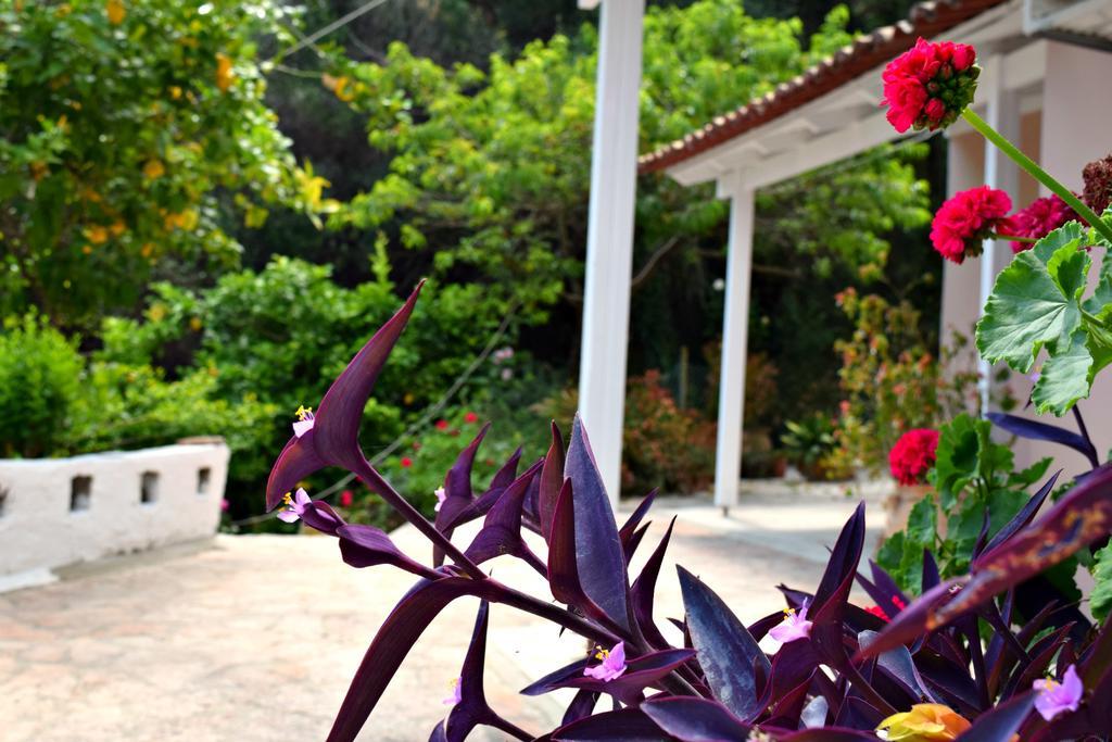 Eden Sea View Studios Mesongí المظهر الخارجي الصورة