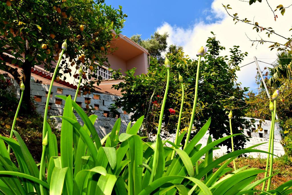 Eden Sea View Studios Mesongí المظهر الخارجي الصورة